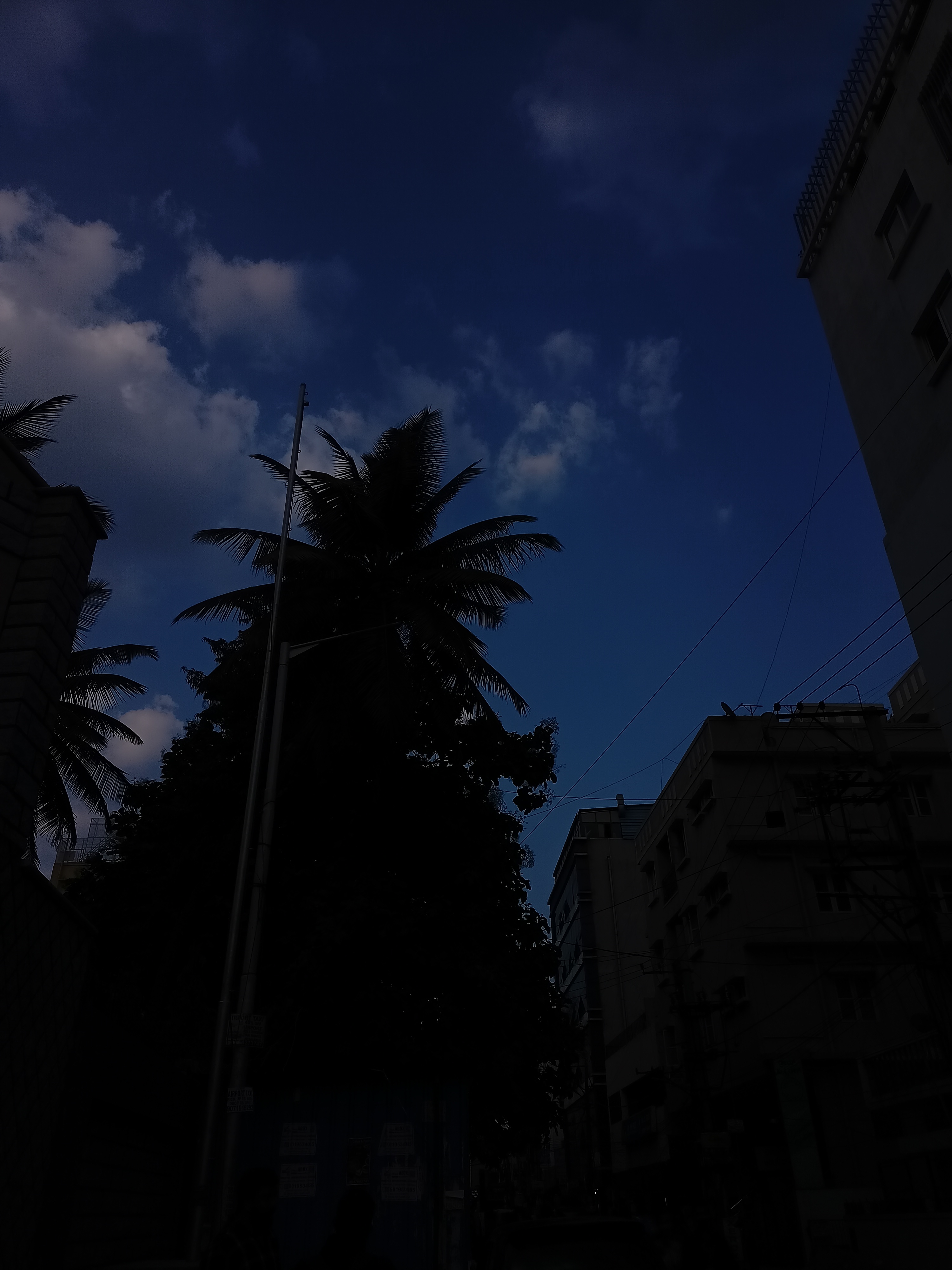 Sky