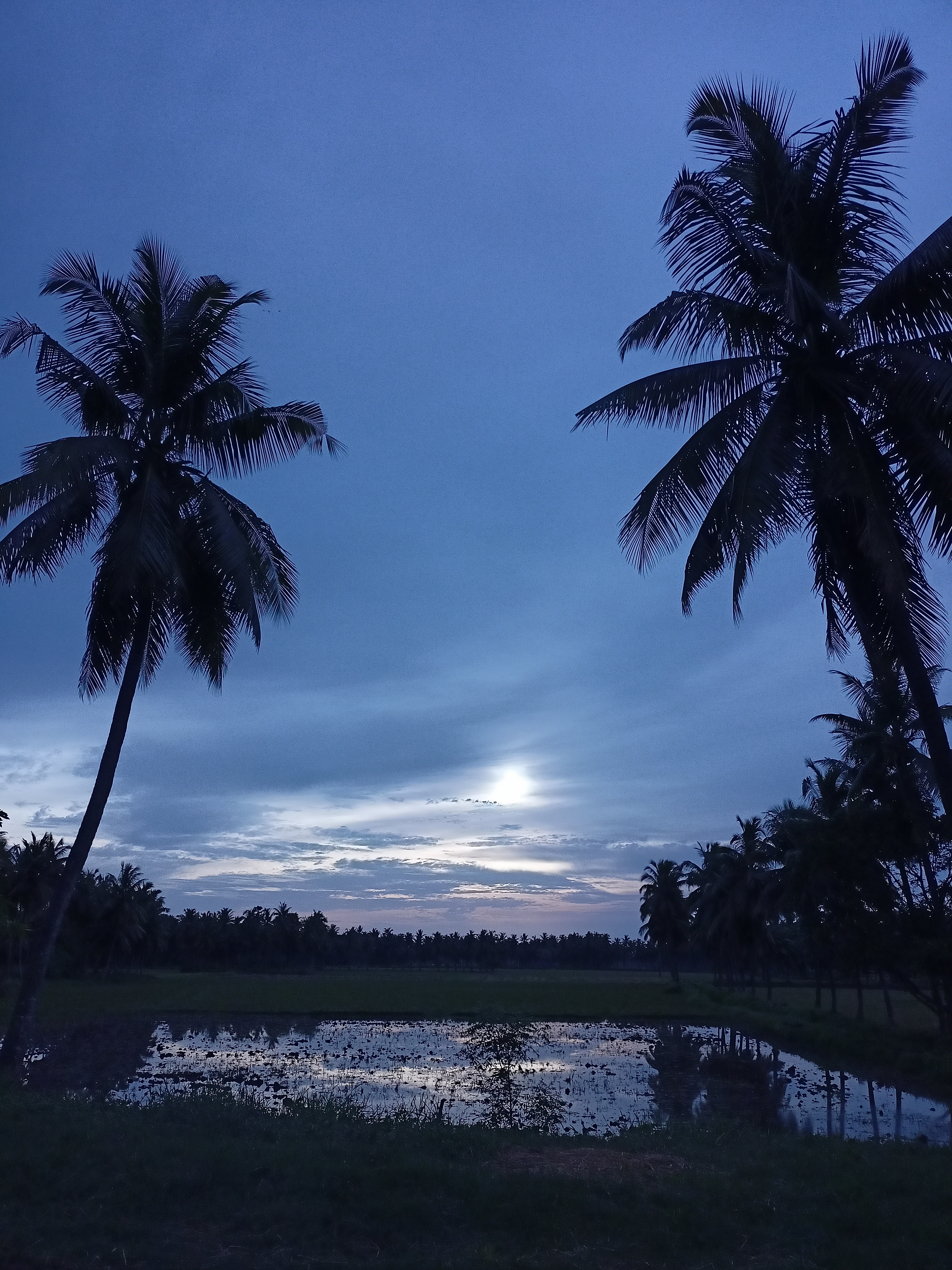 Sky