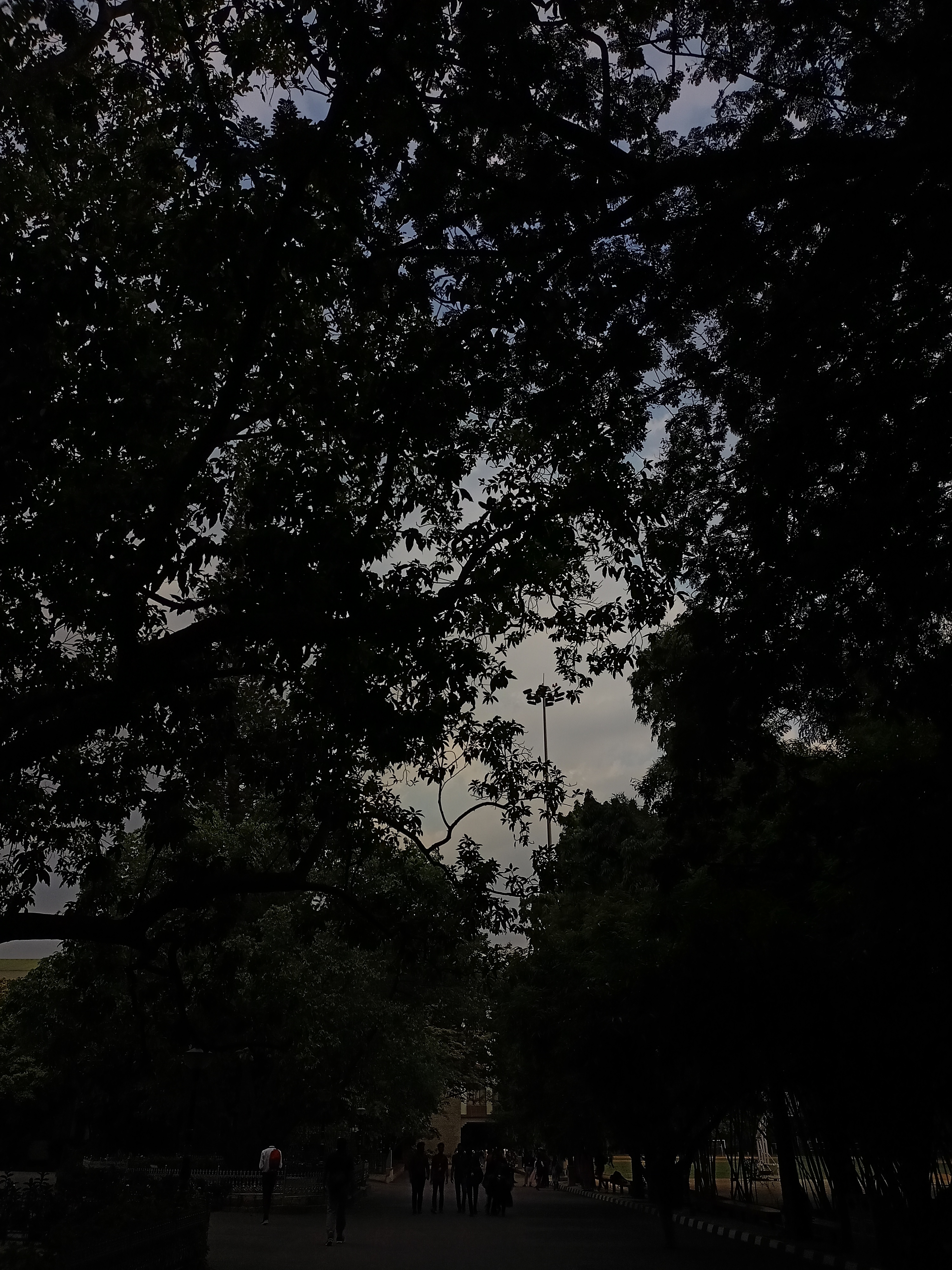 Sky